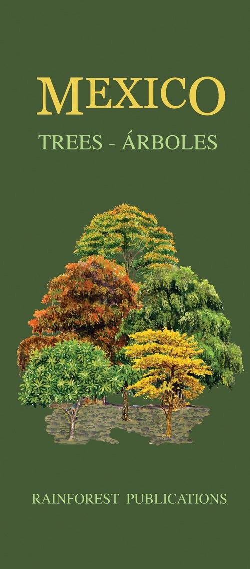 Mexico Trees - all regions (Laminated Foldout Pocket Field Guide) (Costa Rica Fi
