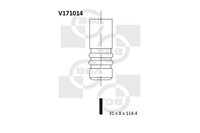 BGA Auslassventil V171014 FüR Fiat Marea Weekend Brava Bravo 1 Punto Palio Doblo