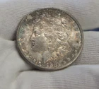 1882 S US Morgan Silver Dollar $1 Unc Nice Toning