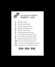 Bouvier des Flandres - CUSTOM MATTED - Dog Art Print - P/L