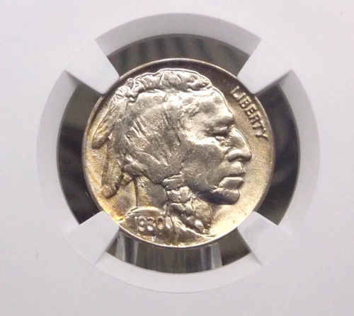 1930 "P" Indian Head BUFFALO Nickel 5c NGC Unc Details #033 Uncirculated ECC&C