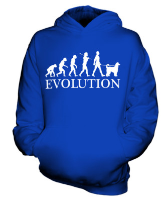 AFGHAN HOUND EVOLUTION OF MAN KINDER HOODIE JUNGEN HOODY MÄDCHEN HUND KUCHI BALUCHI