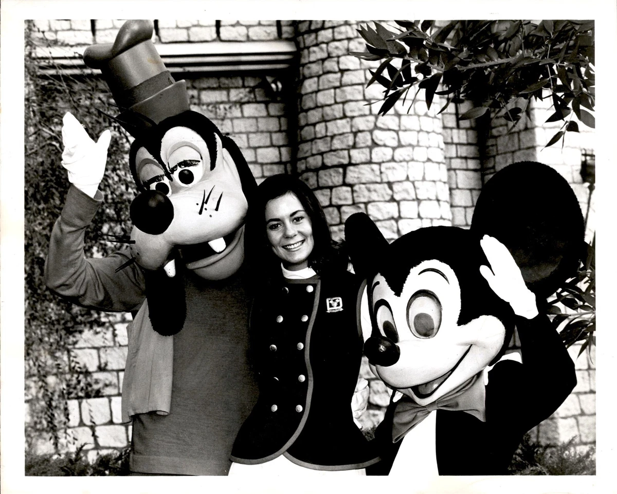 Old mickey and minnie mouse costumes cheap
