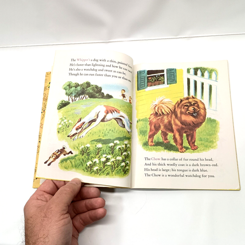 Verified "A" 1st Edition Antique 1952 The LITTLE GOLDEN BOOK OF DOGS #131 - Afbeelding 8 van 8