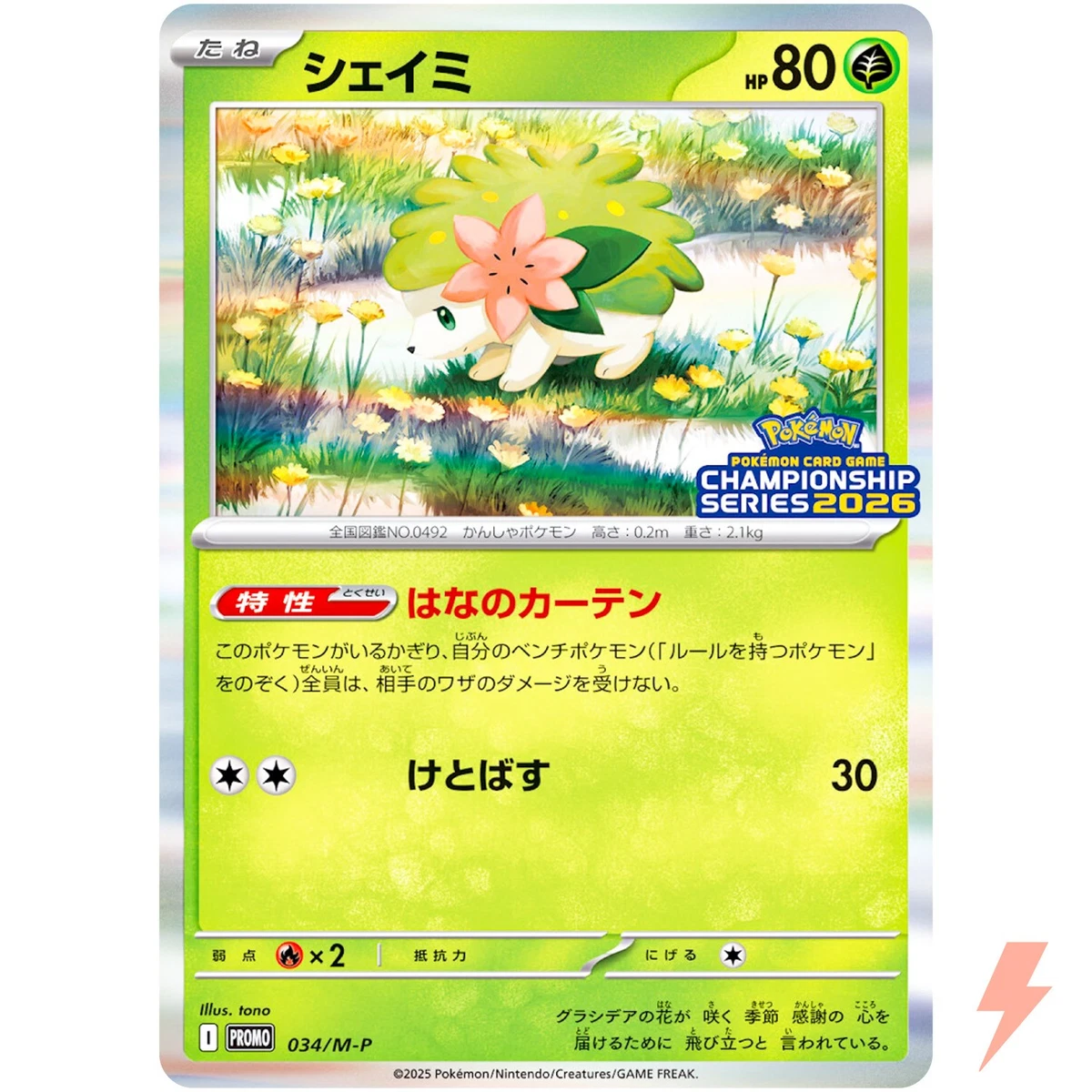 Shaymin Pokémon TCG Trading Card Games in Japanese Individual for