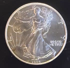 1993 American Eagle Toned Walking Liberty Bullion Vtg-0.999 Silver 1 Oz Coin 3i