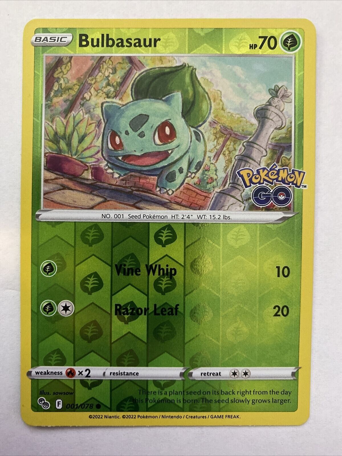 Bulbasaur pokemon card  Pokemon go cards, Pokemon, Pokémon tcg