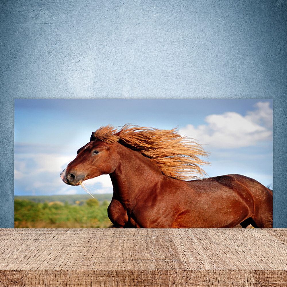 Crédence en verre anti-projections 100x50cm pour plaque de cuisson Cheval