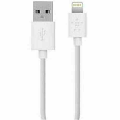 Câble Apple MD818AMA 1M Lightning vers USB - Blanc - Photo 1 sur 1