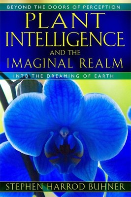 Plant Intelligence and the Imaginal Realm: Beyond the Doors of Perception into t