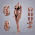 USA 1:6 Female Suntan Skin Large Bust Breast 12in Flexible Seamless Figure Body