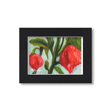 Carolina Reaper Chilli's Still Life - Giclee Artwork Print - Unframed or Framed
