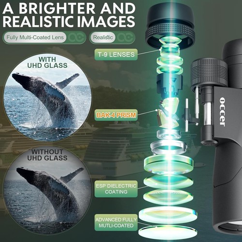Compact 12x50 Binoculars with Image Stabilization - Ideal for Travel & Concerts - Picture 5 of 10