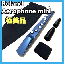 Roland Aerophone Mini AE-01 Electronic Wind Instrument
