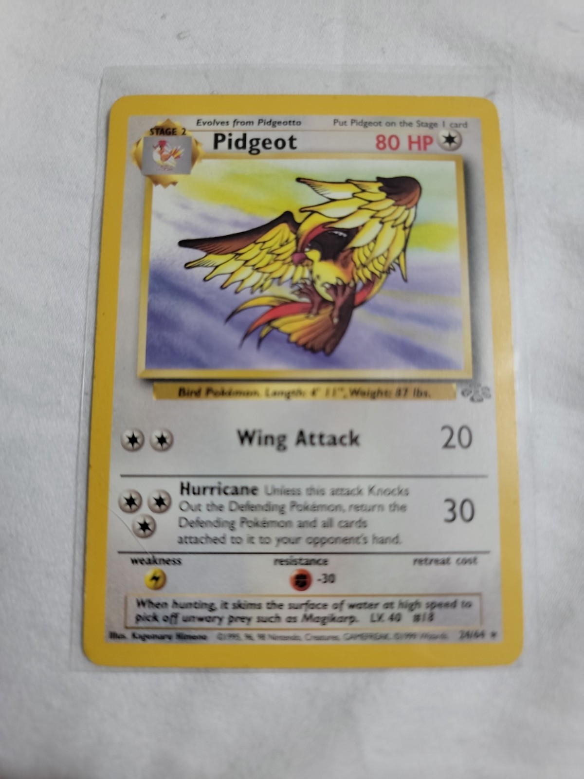 Pidgeot 24/64 Jungle Rare Non-Holo Vintage WOTC Pokemon TCG Card