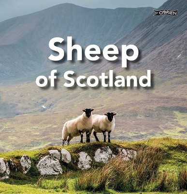Sheep of Scotland by Sarah O'Connor Hardcover Book