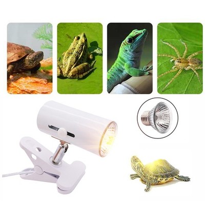 UVA+UVB Reptile Lamp Kit Aufsteckbarer Keramik-Lichthalter Turtle Aalen UV