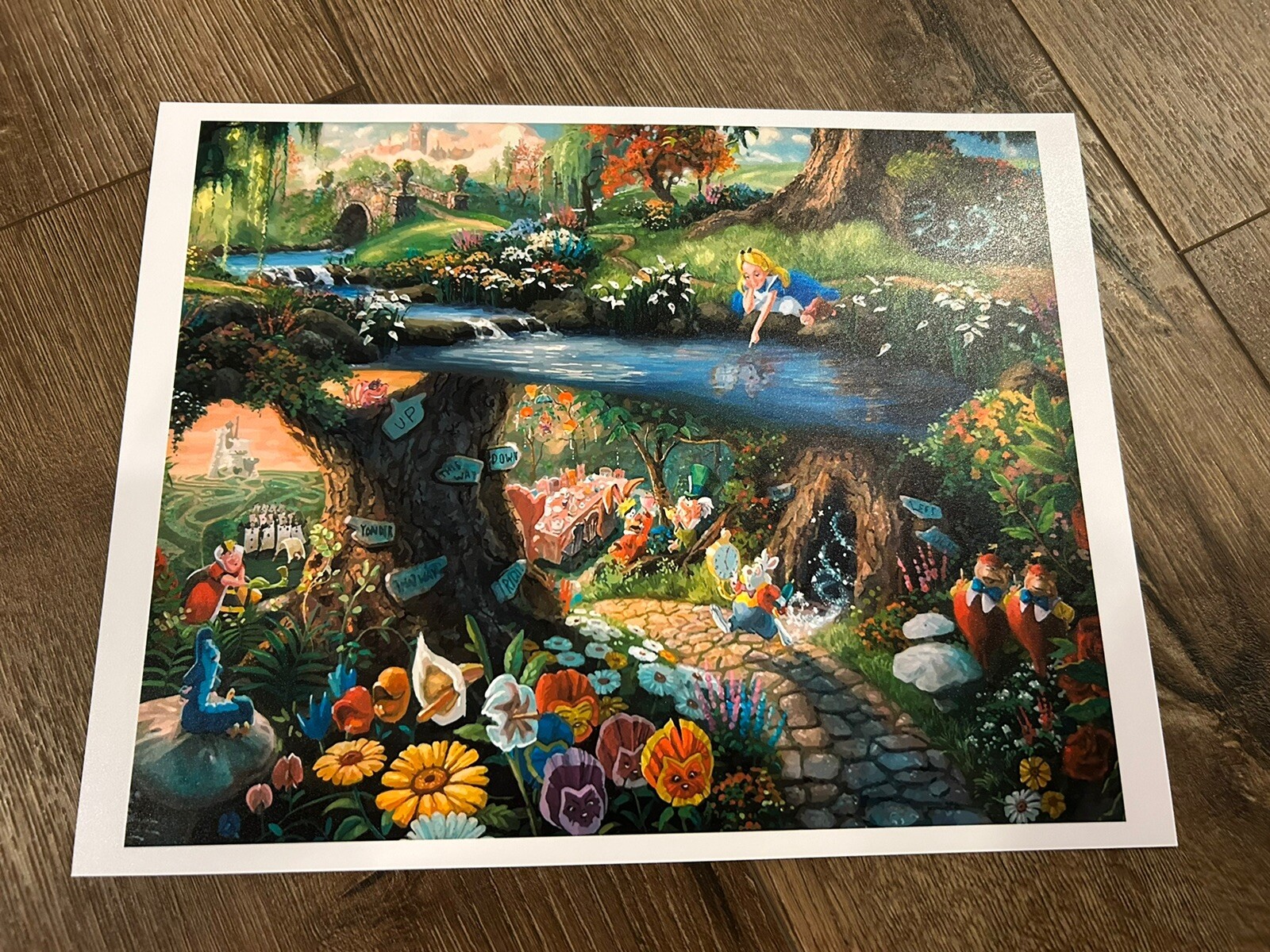 DISNEY ALICE IN WONDERLAND Art Print Photo 11"x14" Poster Animation Cheshire Cat