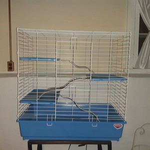 kaytee rat cage