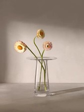 Image of LSA International Victoria Glass Vase Clear H15cm