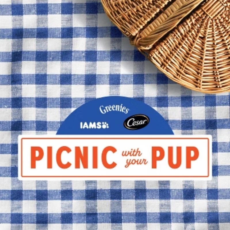 Ração seca para cães adultos raça grande sabor cordeiro e arroz saúde proativa IAMS - Imagem 3 de 4