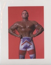 1998 Panini WCW/nWo Photo Cards The British Bulldog British Bulldog #100 3c7