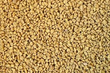 1 kg Bockshornklee Saat  Bockshornkleesamen feinste Qualität  GMO frei
