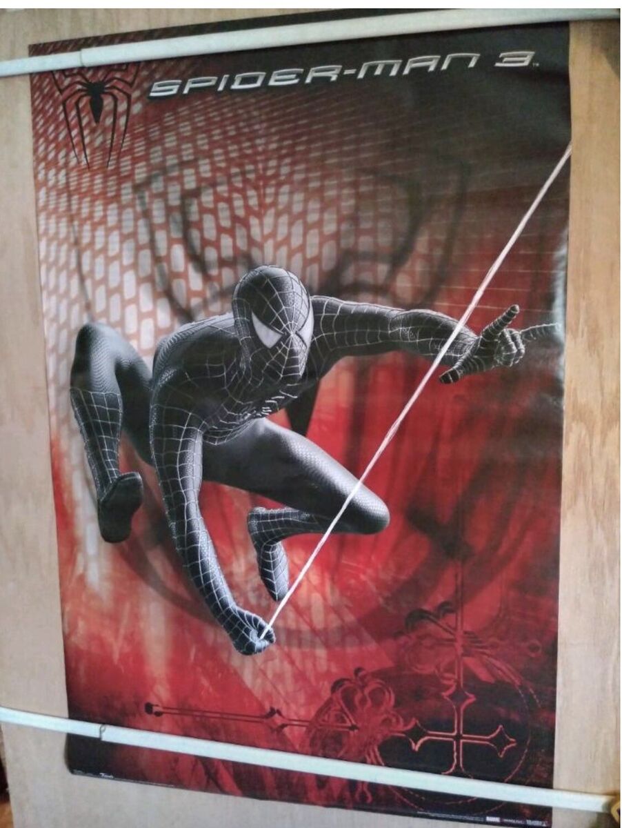 Poster The amazing spiderman 2 - swing, Wall Art, Gifts & Merchandise