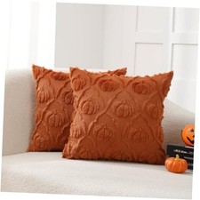 Fall Throw Pillow Covers 20x20 Set of 2  Pumpkin 20" x 20" Pack of 2 Rust
