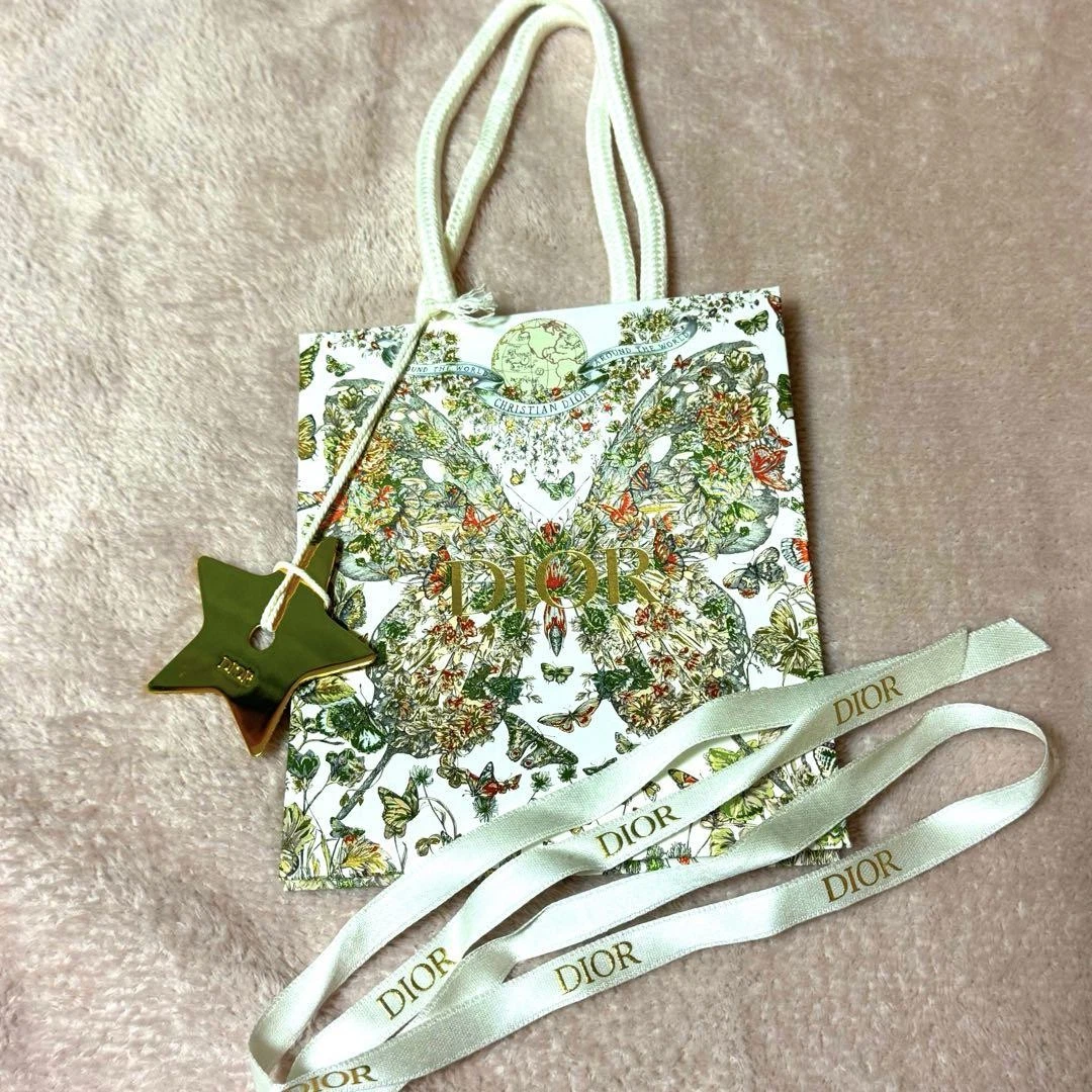 Sac cabas papier Dior papillon vacances de Noël 2023 limité