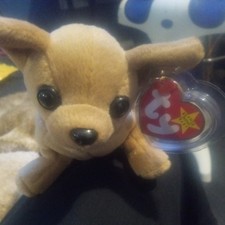 RARE Ty Beanie Baby, Tiny The Chihuahua Misspelled Hang Tag, Exc Condition.