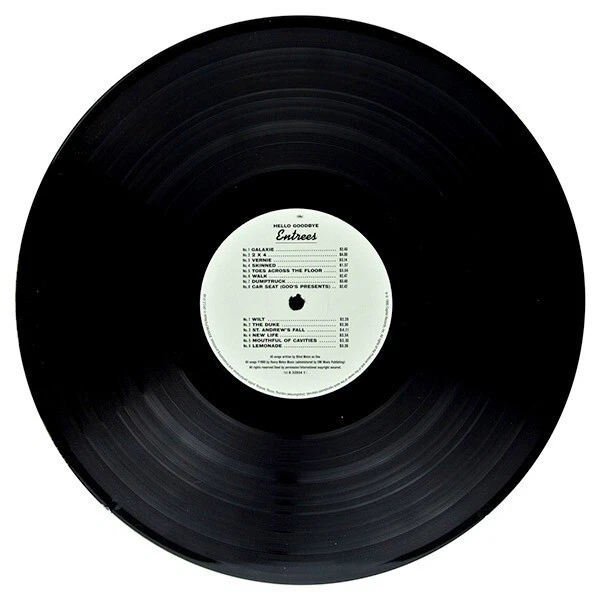 Blind Melon ‎– Soup [ Vinyl, LP, Album, UK, 1995, Gatefold, FREE SHIPPING ] - Image 3 of 4