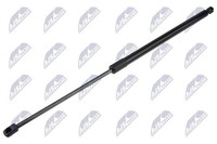 Nty Gasfeder, Koffer-/Laderaum AE-FR-101 FüR Ford