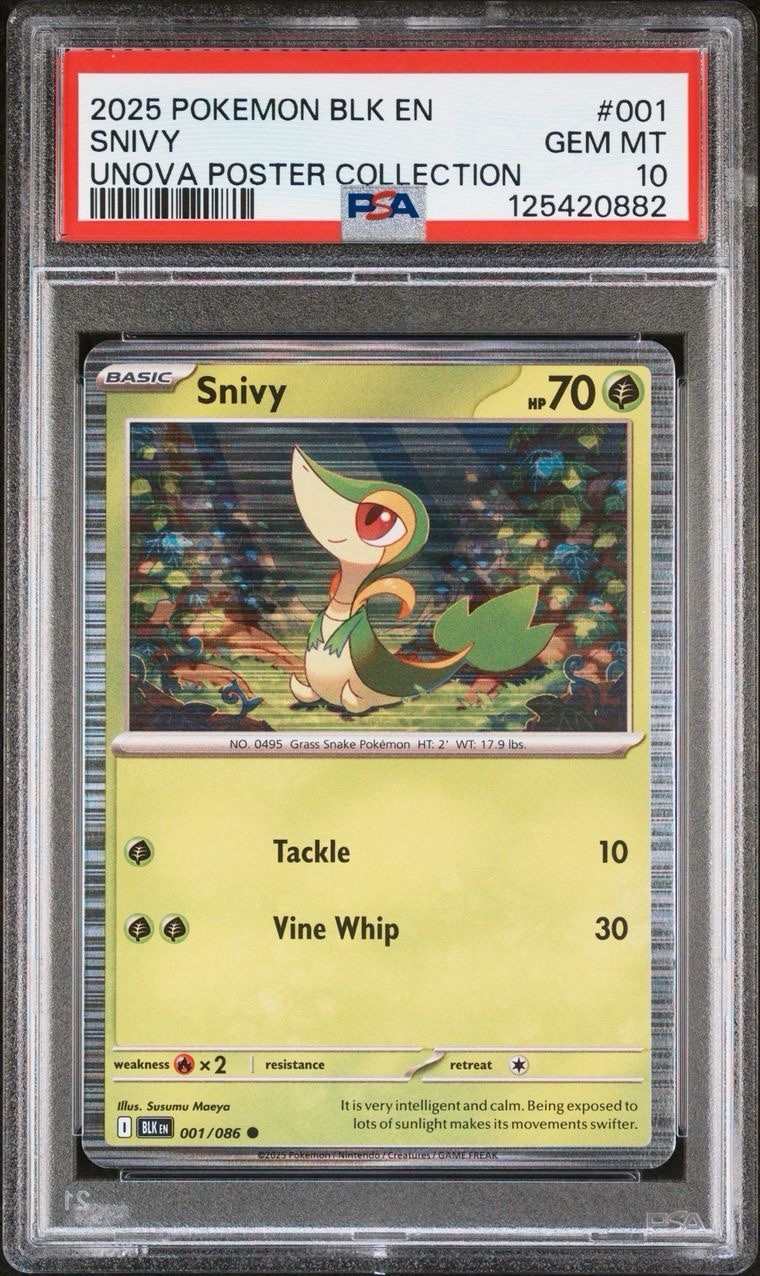 2025 Pokemon Black Bolt Unova Poster Collection 001 Snivy Holo Promo PSA 10 Card