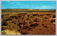 Postcard Petrified Forest national park Northern Arizona Bed Wood Created Time