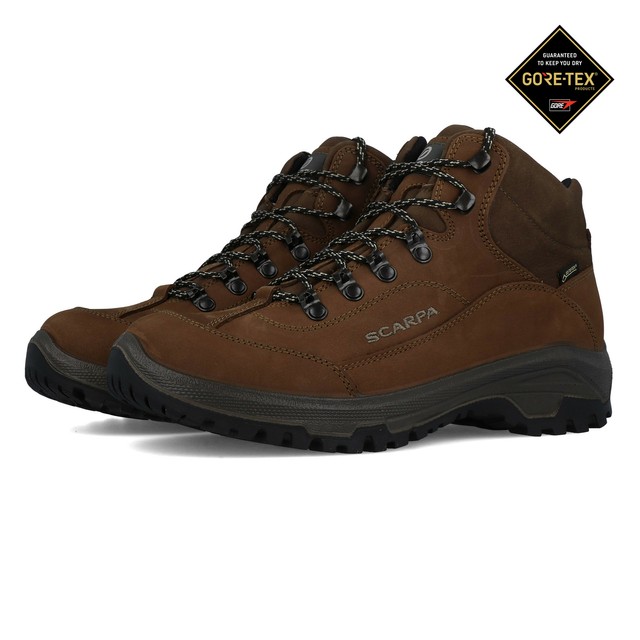 scarpa cyrus gtx womens