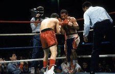 Edwin Rosario Is Backed Into The Corner By Julio Cesar Chavez OLD BOXING PHOTO 1