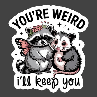 Raccoon Sticker Vinyl Decal Youre Weird Ill Keep You Cute Animal