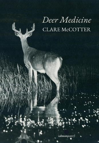 Deer Medicine | PB | 2026 - Image 4