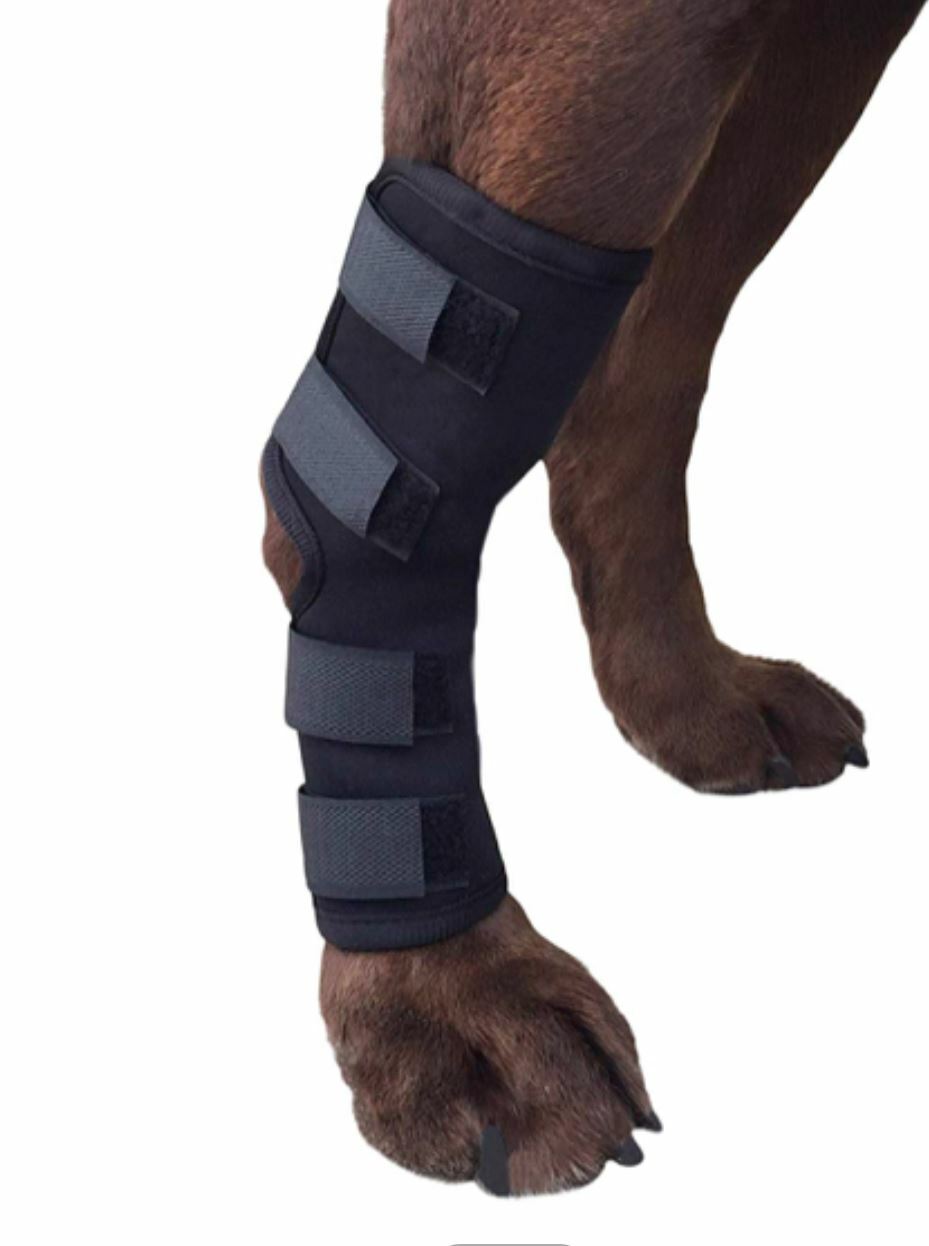 Dog Leg Brace Knee Cast Canine Rear Hock Luxating Patella Joint Wrap