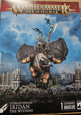 Warhammer Age of Sigmar Stormcast Eternals Ir...