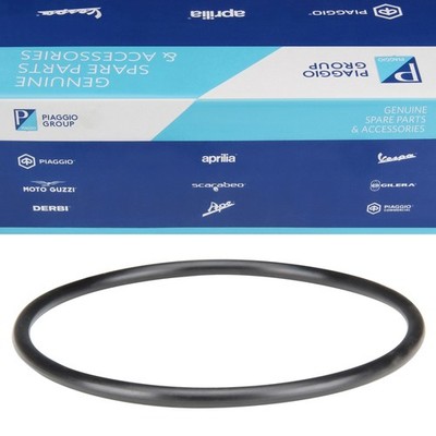 Variomatik Dichtring O-Ring für Piaggio Beverly Hexagon X8 X9 / Gilera Runner