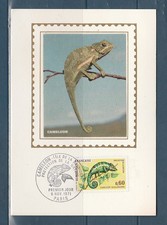 carte  1er jour  nature caméléon de la Réunion  75 Paris   1971