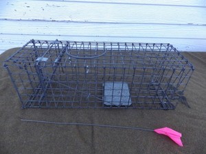 Two Tomahawk Folding Collapsible Live Traps 19 x 6 x 6 Squirrels Rats + Similar