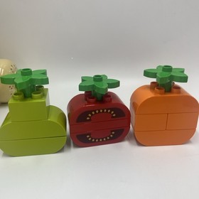 LEGO DUPLO Creative Picnic (10566) Incomplete