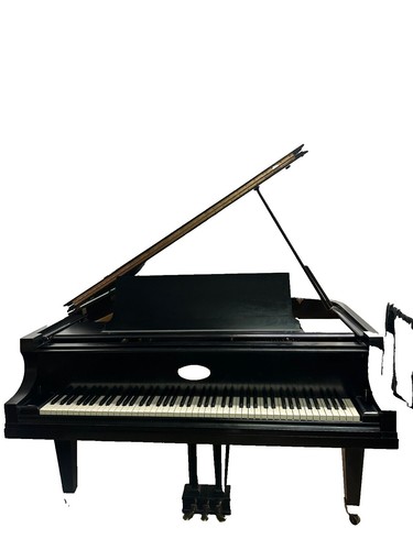 NikoMaku Swan 61 Keys Piano | eBay