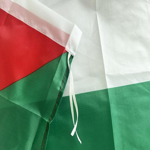 Palestine 3x5ft Flag of Palestine Palestinians Flag Flag House 3x5 J2X8 - Foto 8 di 14