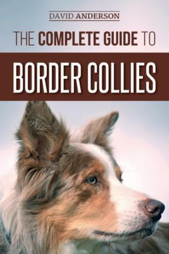 The Best Food for Border Collies