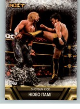 2017 WWE Then Now & Forever Finishers #40 Hideo Itami