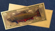 New! Brook Trout Aurum 100mg 24k Gold Bill 2025